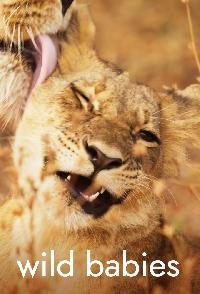 Wild Babies
